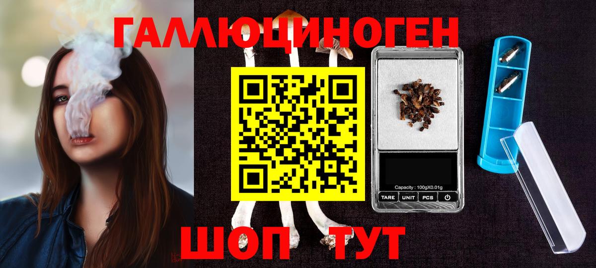Галлюциногенные грибы Psilocybe  Вход с VPN  купить наркотики сайты  Благовещенск 